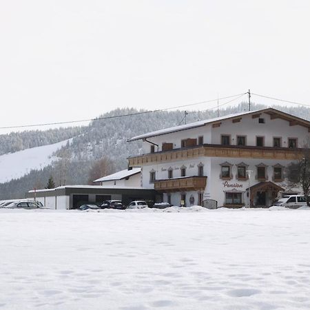 Pension Und Apartments Landhaus Marie لوتاش المظهر الخارجي الصورة